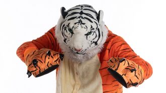 Roaming Man in Cat Costume Confounds British Coastal Community