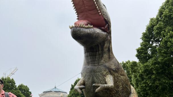 Dino Derby 2025