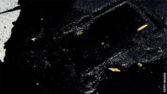 Mysterious Lifeform Found Oozing from Lake Erie Research Vessel