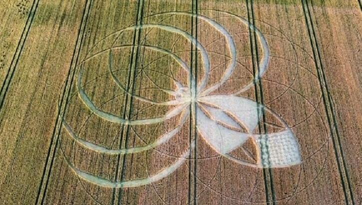 Video: 'Alien Spider' Crop Formation Found in England