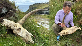Family on Vacation Discovers 'Unicorn' Skull