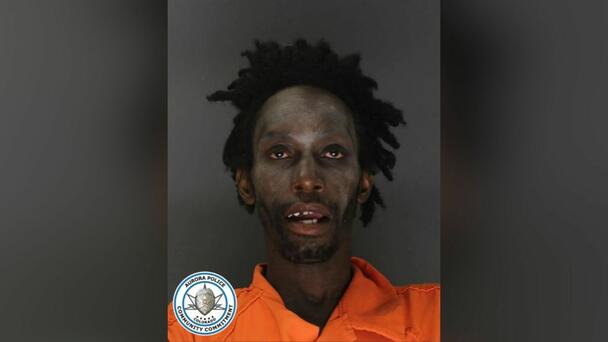 Sex Offender To Walk Free After Elementary School Kidnapping Attempt