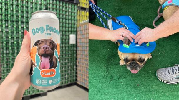 Animal Rescue League Of NH Wants Your Cutest Pets 