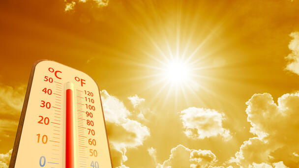 You Won't Believe The Most Extreme Temperature Ever Recorded In Florida