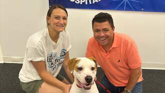 Let's Help My Pet Of The Week, Rebel!