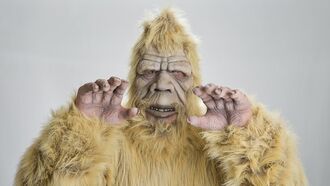 Bigfoot Remains to be Showcase at New York State Fair?