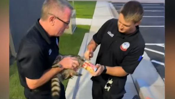 Paramedics Rescue Raccoon with Head Stuck in Soup Can