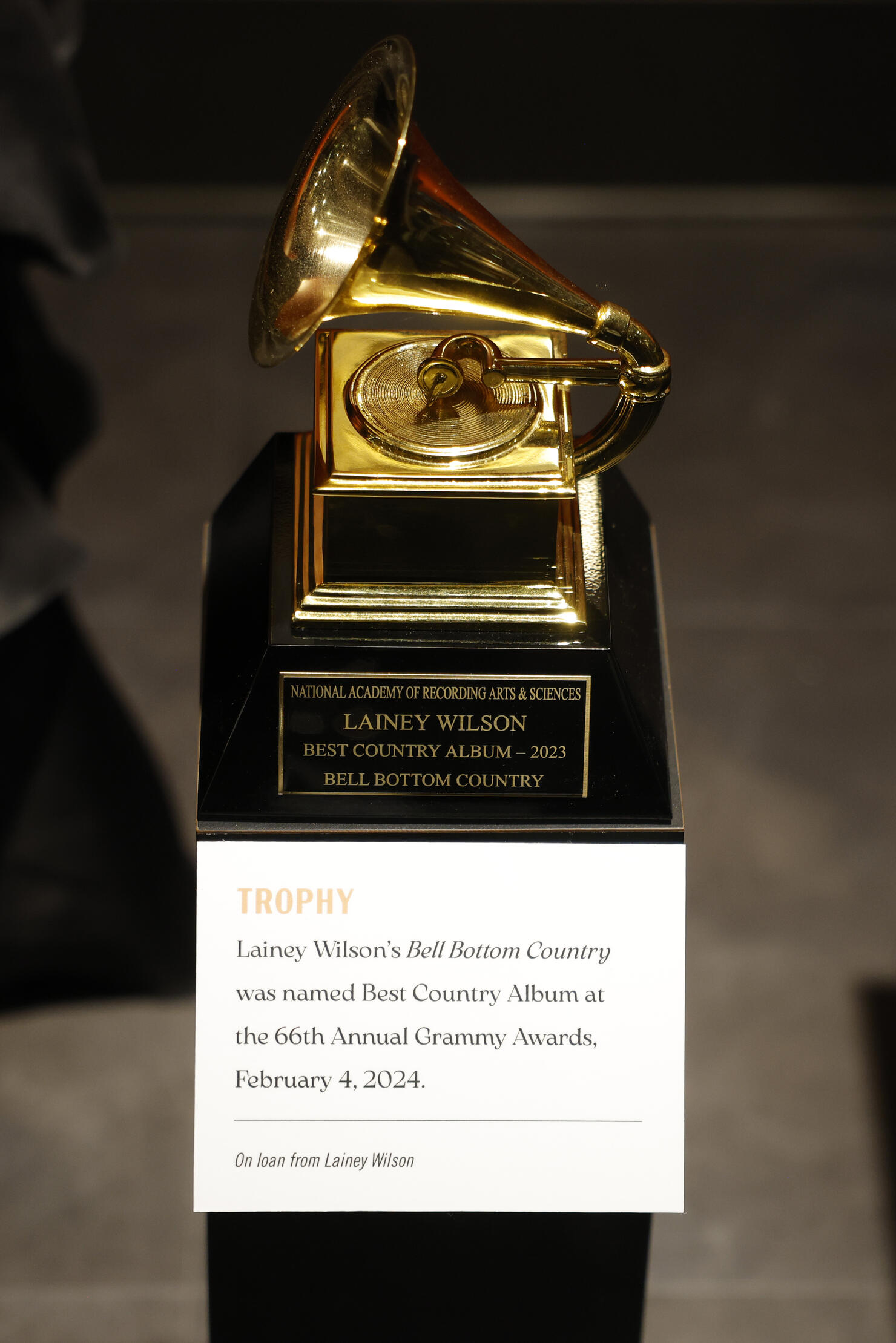 Country Music Hall of Fame and Museum Opens New Exhibition Lainey Wilson: Tough as Nails