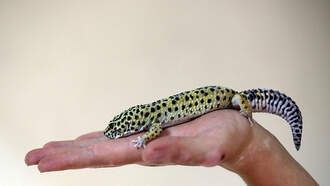 Here is Your Weekend Party Planner 8/8