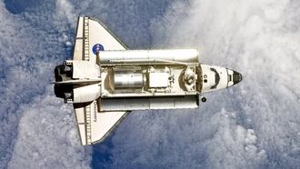 Video: Surprising 'Space Dollar' Found at Florida Restaurant