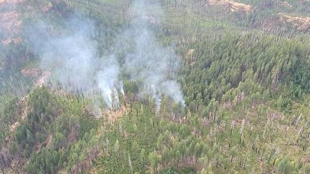 PGE Makes Firewatch Cameras Available