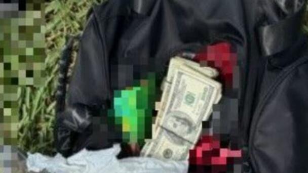 Border Patrol Interdicts Big Stash of Pot and Cash off Ft. Lauderdale