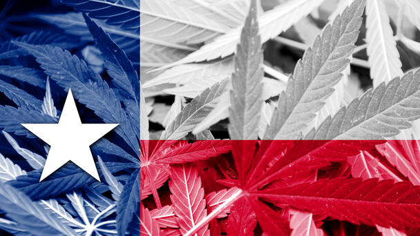 Texas Senate Again Passes Sweeping THC Ban