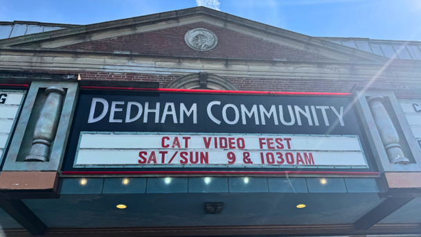 7th Annual CatVideoFest Wraps At Dedham Community Theatre