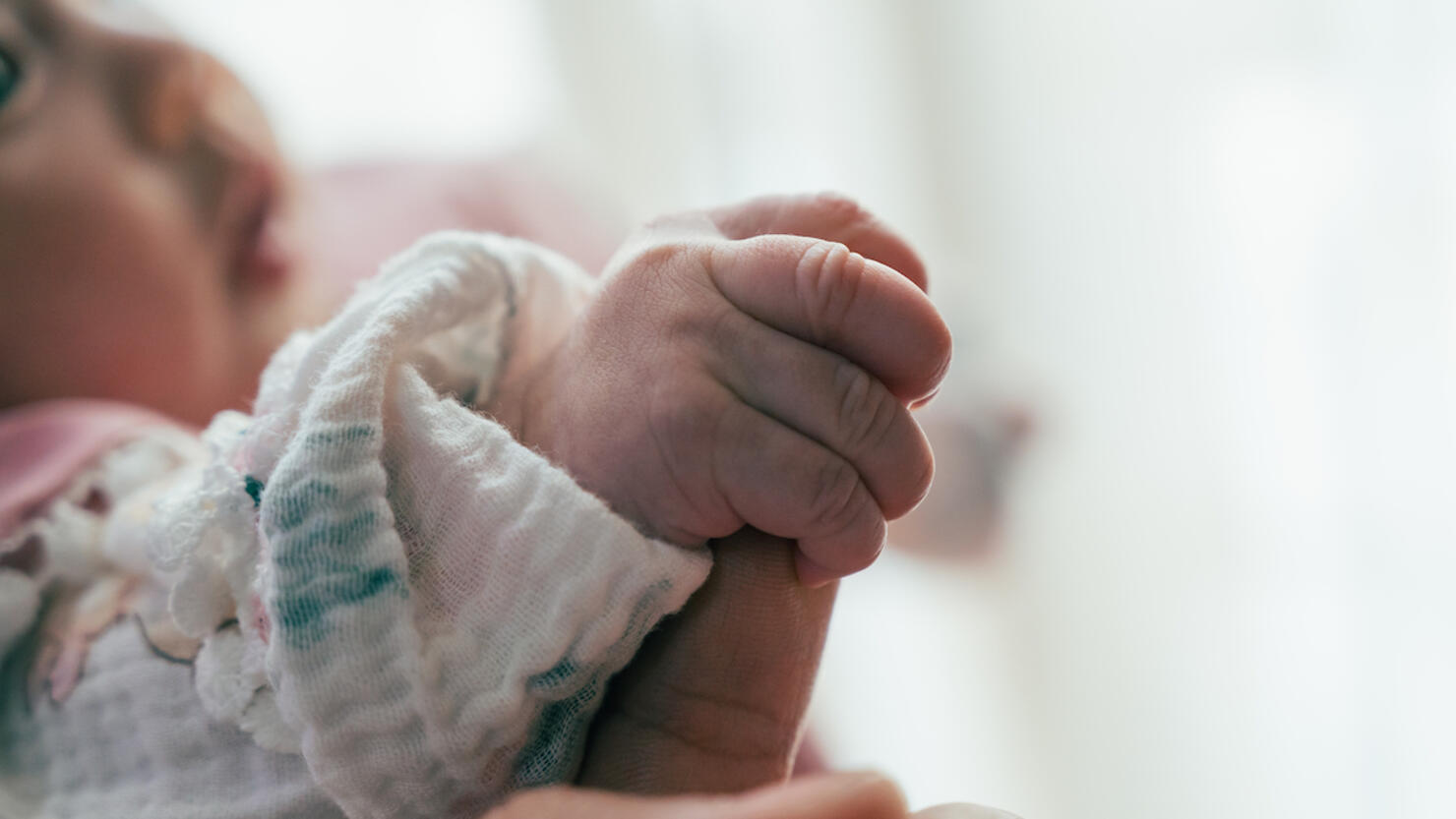 the image of a newborn baby