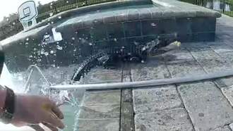 National News - Wild Video Shows Cop Use Bare Hands To Wrangle Alligator