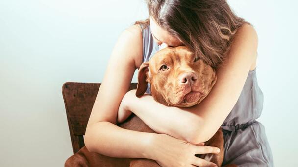 3 Ohio Spots Among The Most 'Pet-Friendly Cities' In America