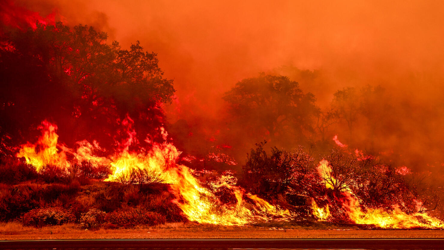 Wildfire-Rages-Through-Los-Padres-Forest