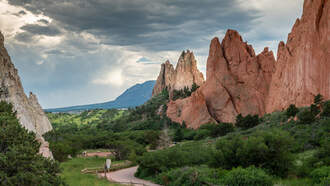 Mama Bear and Cubs Spotted Strolling Through Garden of the Gods