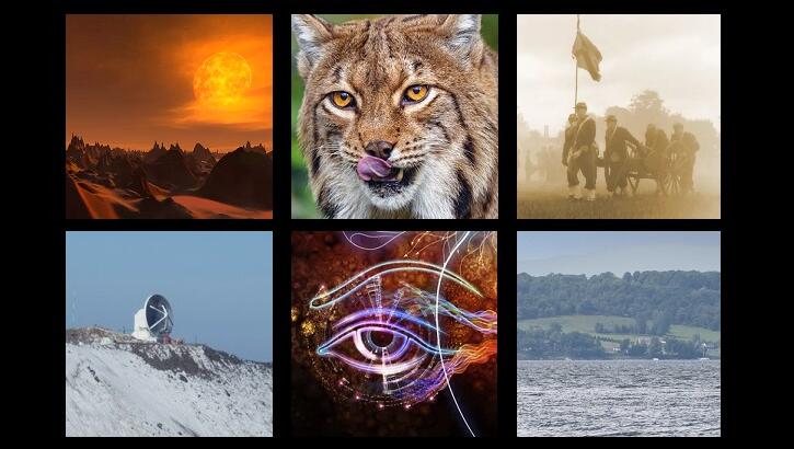 This Week's Weird News 8/8/25