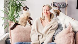 Washington City Named Among The Most 'Pet-Friendly Cities' In America