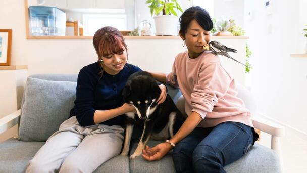 North Carolina City Named Among 20 Most 'Pet-Friendly Cities' In America