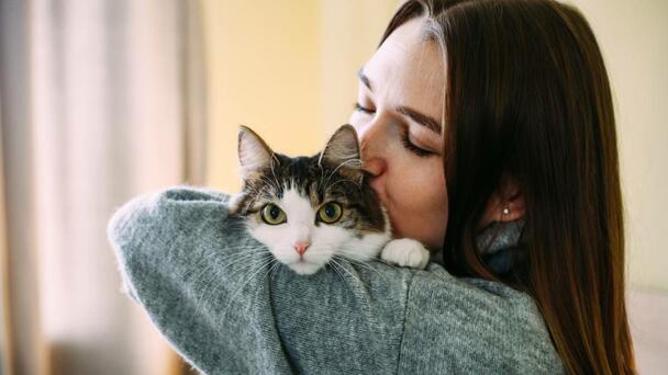 2 Colorado Spots Among The Most 'Pet-Friendly Cities' In America