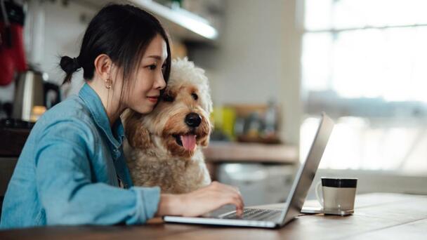 Missouri City Named Among The Top 10 Most 'Pet-Friendly Cities' In America