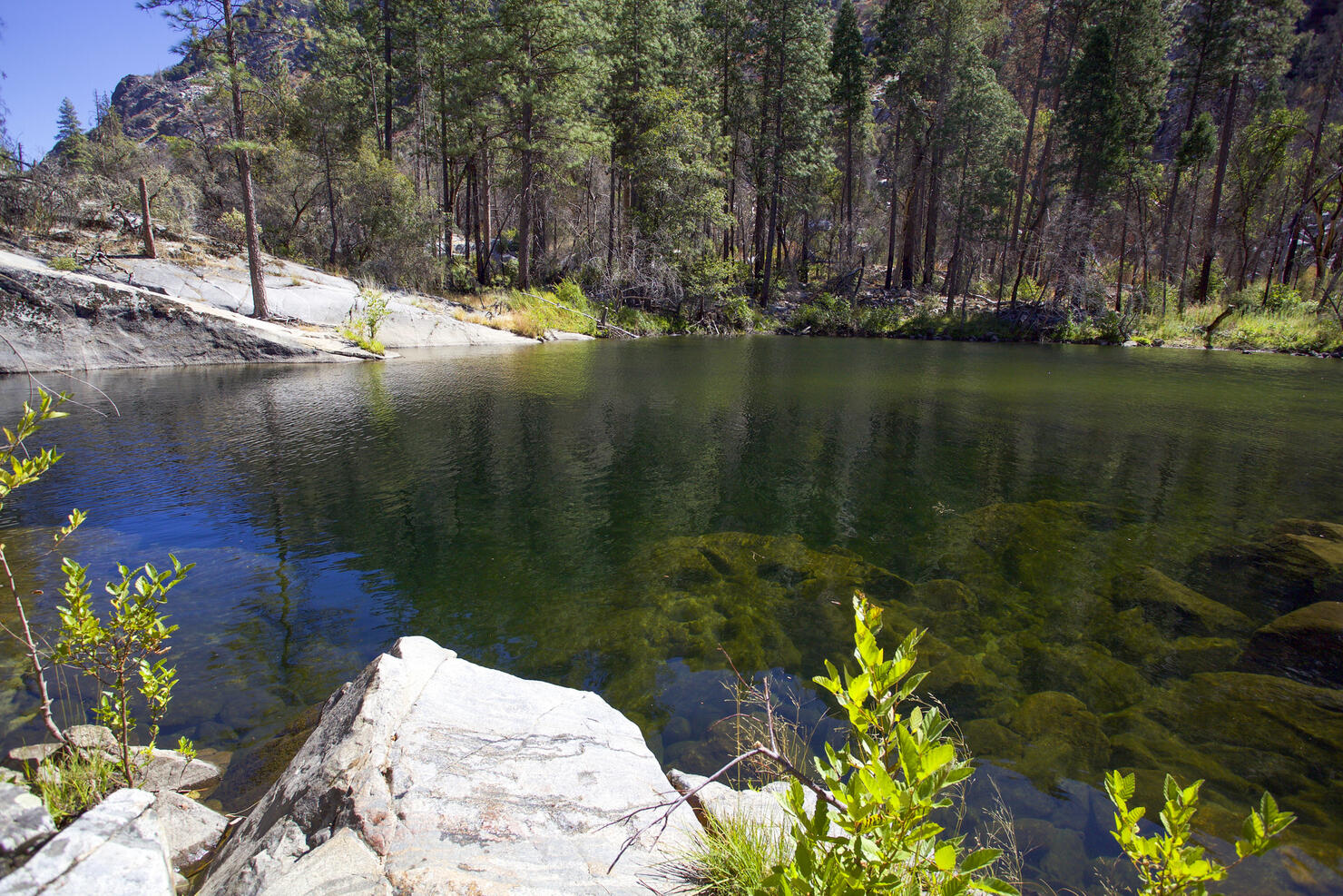 Secret Swimming Hole