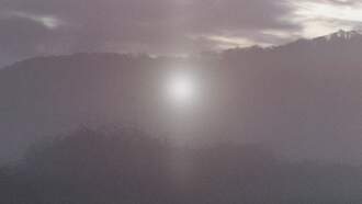 Mexican Politician Shares Footage of Eerie Orbs Spotted on His Property