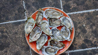 Timeless Massachusetts Eatery Named 'Most Historic Restaurant' In The State