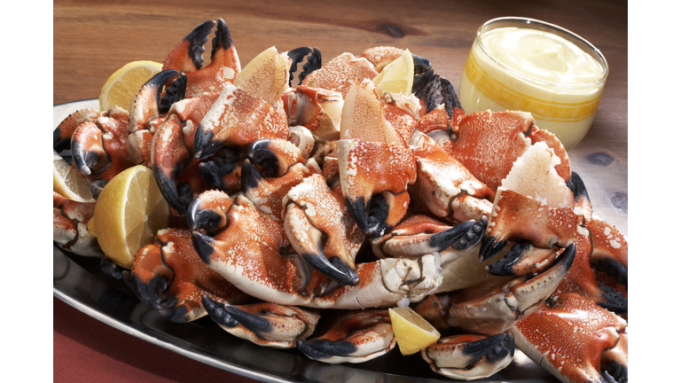 stone crab plated for dinner