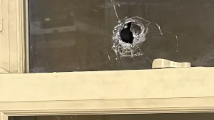 Steve Goodin - Charter Committee Candidate - Violence in Cincy