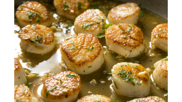 Panned Seared Scallops in Broth