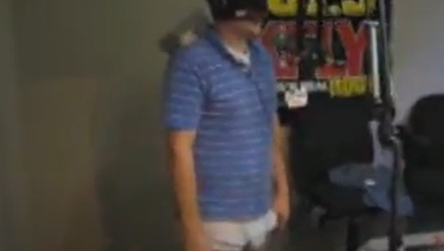 Snake on a Stank