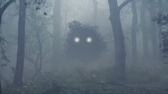 Watch: Bizarre 'Mystery Creature' Encountered in Mexico