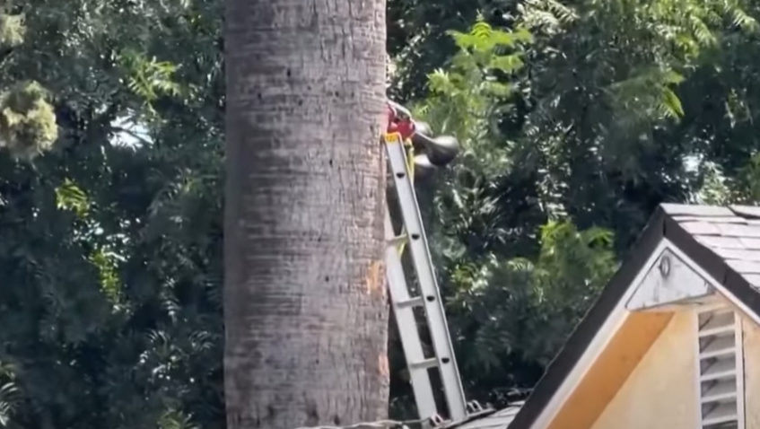 Man Won't Stop Blaring Train Horn from His House