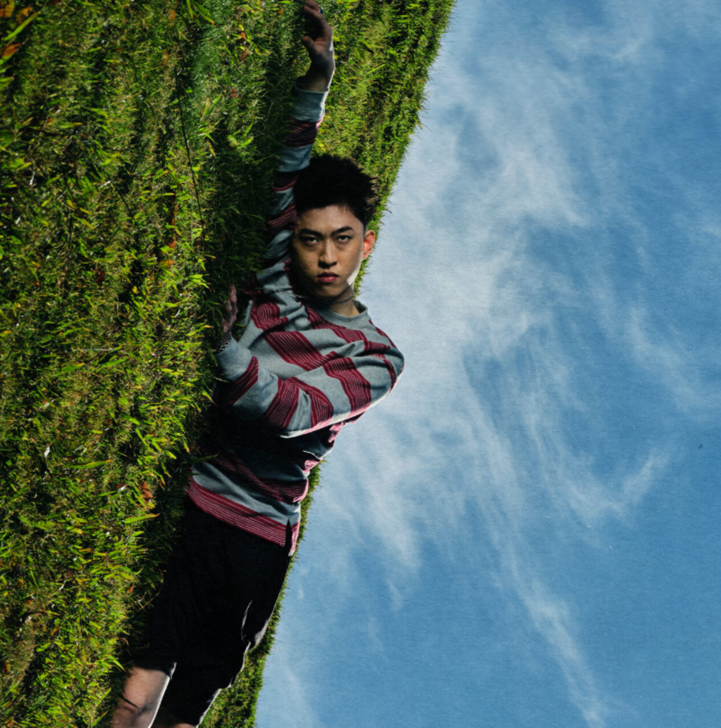 WHERE IS MY HEAD?