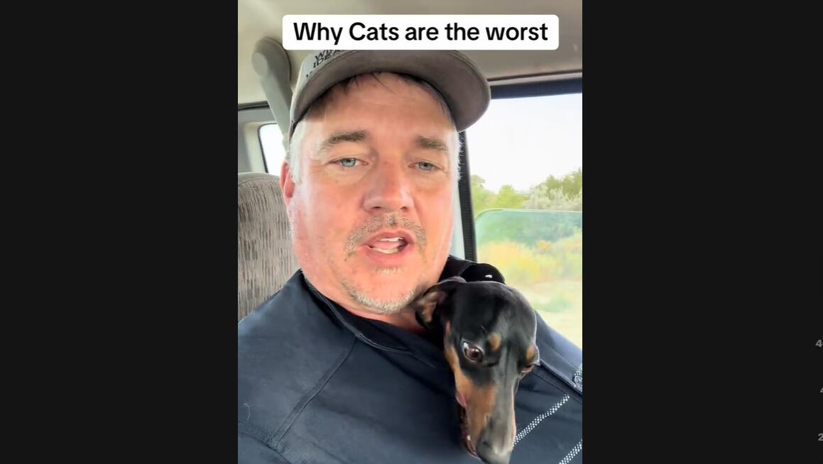 This Guy Perfectly Explains Why Having Dogs Is Better Than Having Cats