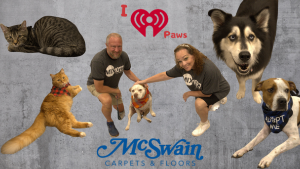  iHeartPaws photo page sponsored by McSwain Carpets & Floors