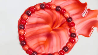 The Perfect Blend Of Sweet & Spicy! Meet Skittles Gummies Fuego. 