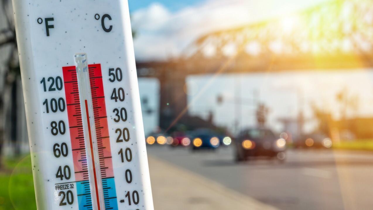 What Hot Weather Does to Your Mental Health