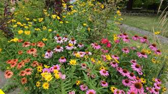 What To Do In Your Backyard in August.