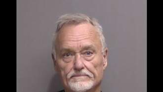 Flagler Beach Man Who Called 911 After Hitting Deer, Arrested for DUI