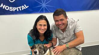 Let's Help My Pet Of The Week, Moiraine!