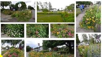 Teresa's Landscape Design Tips!  Property easement is a space.