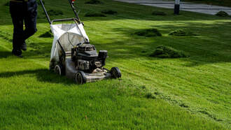 How can you keep your grass unstressed in these dog-days of summer?