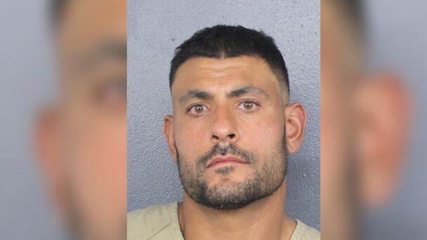 Miami Dolphins Coach Arrested