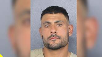 Miami Dolphins Coach Arrested