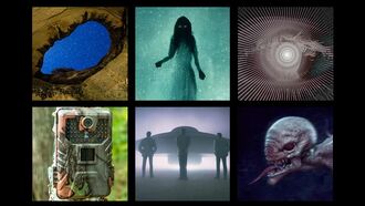 In Coast You Missed It 8/29/25